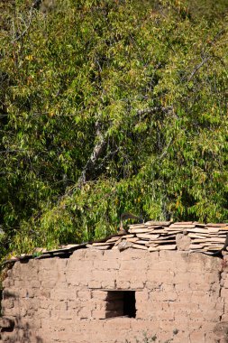 Cusco Peru 'daki kır evi. Peru kırsalında geleneksel evler.