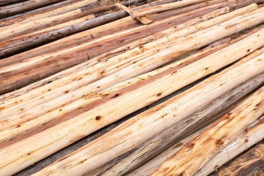 Peru And Dağları 'nda yakıt ve inşaat için odun. Ahşap kütüklerin kırsal sahnesi.