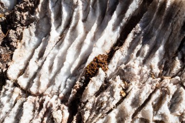 Doğal tuz kayası. Cusco 'daki Peru tuz madeni. Beyaz kayaya yaklaş..