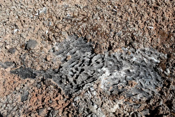 Natural Salt Rock Salt Texture Peruvian Salt Mine Cusco Close — Foto Stock