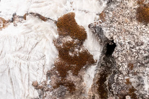 Naturalny Kamień Solny Tekstura Soli Peruwiańskiej Kopalni Soli Cusco Blisko — Zdjęcie stockowe