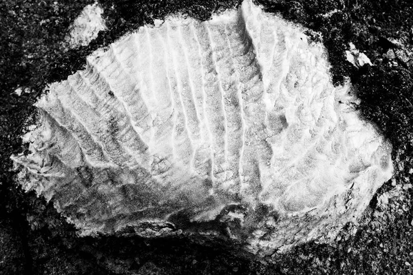 Φυσικός Βράχος Αλατένια Υφή Περουβιανό Αλατωρυχείο Στο Κούσκο Κοντινό Πλάνο — Φωτογραφία Αρχείου