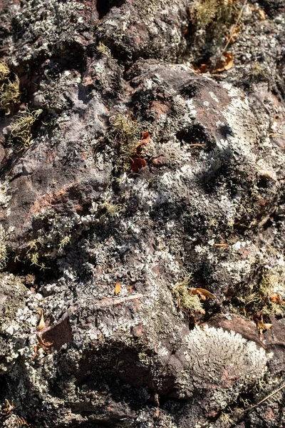 Gusta Una Roca Los Andes Peruanos Cerrar Imagen Roca Con — Foto de Stock