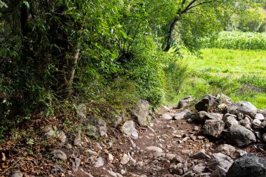 Peru And Dağları kırsal kesiminde bir patika. Andean kırsalında patika.