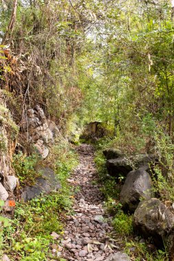 Peru And Dağları kırsal kesiminde bir patika. Andean kırsalında patika.
