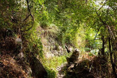 Peru And Dağları kırsal kesiminde bir patika. Andean kırsalında patika.