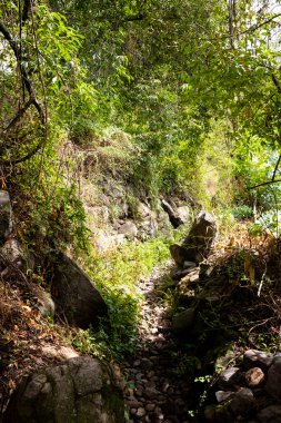 Peru And Dağları kırsal kesiminde bir patika. Andean kırsalında patika.