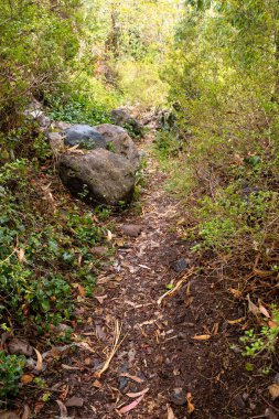 Peru And Dağları kırsal kesiminde bir patika. Andean kırsalında patika.
