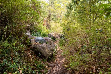 Peru And Dağları kırsal kesiminde bir patika. Andean kırsalında patika.