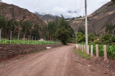 Peru And Dağları kırsal kesiminde bir patika. Andean kırsalında bir patika. Cusco 'da küçük bir kasaba.