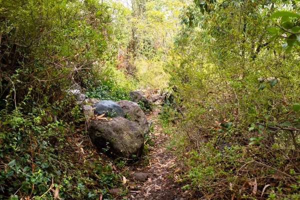 Peru And Dağları kırsal kesiminde bir patika. Andean kırsalında patika.