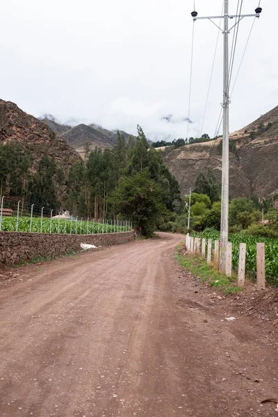 Peru And Dağları kırsal kesiminde bir patika. Andean kırsalında bir patika. Cusco 'da küçük bir kasaba.