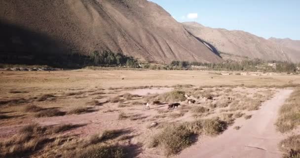 ペルー アンデスの聖なる谷 クスコのアンデス地方の田園風景ペルー — ストック動画