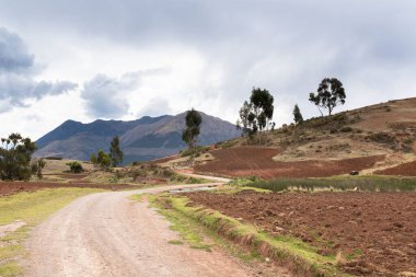 And Dağları 'ndaki Peru kırsalında kırsal bir yol. Cusco 'daki And kırsal arazisi.