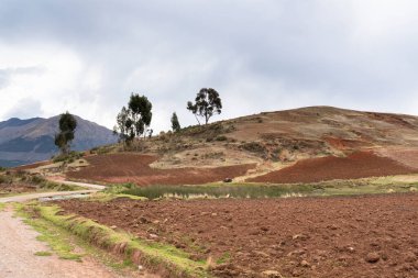 And Dağları 'ndaki Peru kırsalında kırsal bir yol. Cusco 'daki And kırsal arazisi.