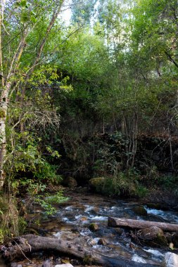 Peru And Dağları 'ndaki doğal su akıntısı. Peru 'nun kutsal vadisinde tatlı su.