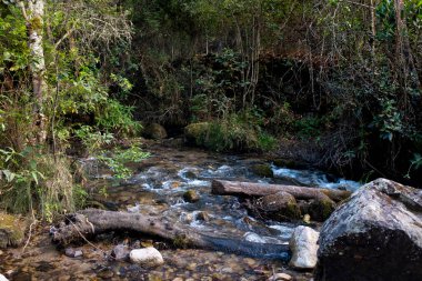 Peru And Dağları 'ndaki doğal su akıntısı. Peru 'nun kutsal vadisinde tatlı su.