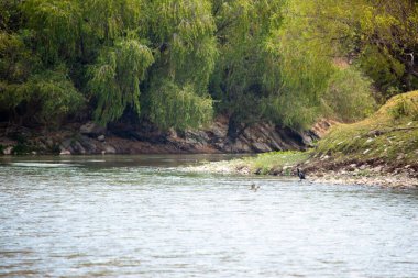 Peru And Dağları 'ndaki doğal su akıntısı. Peru 'nun kutsal vadisinde tatlı su.