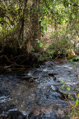 Peru And Dağları 'ndaki doğal su akıntısı. Peru 'nun kutsal vadisinde tatlı su.
