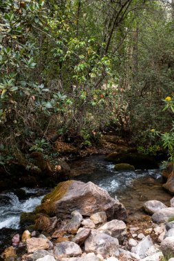 Peru And Dağları 'ndaki doğal su akıntısı. Peru 'nun kutsal vadisinde tatlı su.
