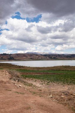 Cusco Peru 'daki Huaypo Gölü. Peru And Dağları 'ndaki doğal manzara. Kır manzarası.