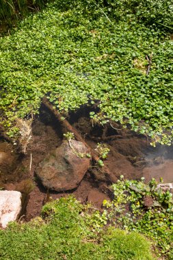 Peru And Dağları 'ndaki doğal su akıntısı. Peru 'nun kutsal vadisinde tatlı su.