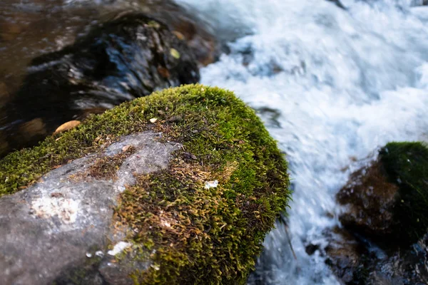 Arroyo Agua Natural Los Andes Peruanos Agua Dulce Valle Sagrado — Foto de Stock