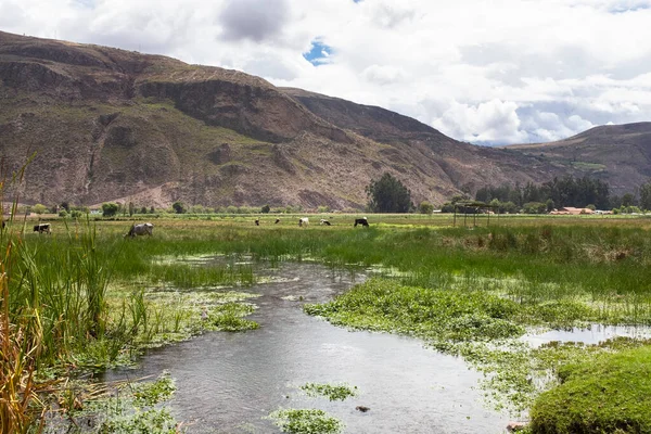 Fluxo Água Natural Nos Andes Peruanos Água Doce Fresca Sacred — Fotografia de Stock