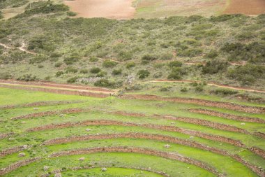 Cusco Peru 'da Moray arkeolojik alanı. İnkalar tarafından yapılan tarım laboratuvarı..