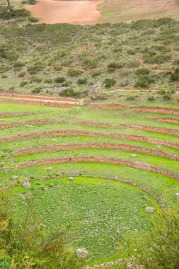 Cusco Peru 'da Moray arkeolojik alanı. İnkalar tarafından yapılan tarım laboratuvarı..