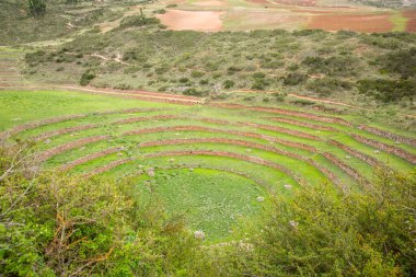 Cusco Peru 'da Moray arkeolojik alanı. İnkalar tarafından yapılan tarım laboratuvarı..