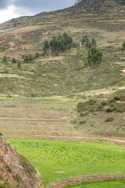 Cusco Peru 'da Moray arkeolojik alanı. İnkalar tarafından yapılan tarım laboratuvarı..