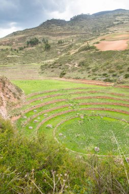 Cusco Peru 'da Moray arkeolojik alanı. İnkalar tarafından yapılan tarım laboratuvarı..