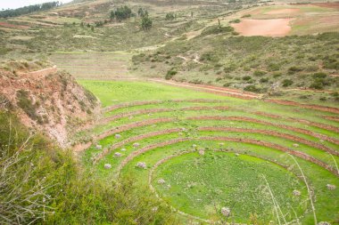 Cusco Peru 'da Moray arkeolojik alanı. İnkalar tarafından yapılan tarım laboratuvarı..