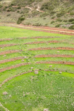Cusco Peru 'da Moray arkeolojik alanı. İnkalar tarafından yapılan tarım laboratuvarı..