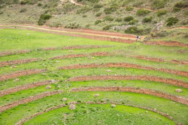 Cusco Peru 'da Moray arkeolojik alanı. İnkalar tarafından yapılan tarım laboratuvarı..