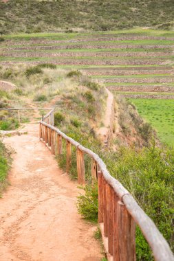 Cusco Peru 'da Moray arkeolojik alanı. İnkalar tarafından yapılan tarım laboratuvarı..