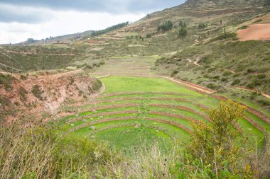 Cusco Peru 'da Moray arkeolojik alanı. İnkalar tarafından yapılan tarım laboratuvarı..