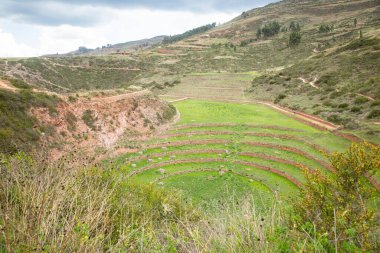 Cusco Peru 'da Moray arkeolojik alanı. İnkalar tarafından yapılan tarım laboratuvarı..