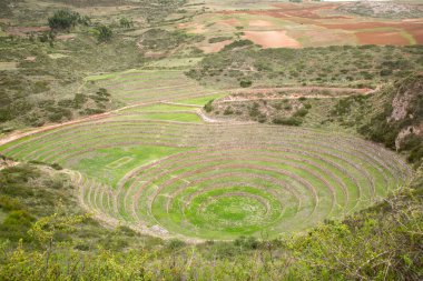 Cusco Peru 'da Moray arkeolojik alanı. İnkalar tarafından yapılan tarım laboratuvarı..
