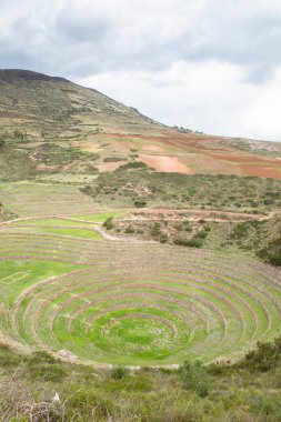 Cusco Peru 'da Moray arkeolojik alanı. İnkalar tarafından yapılan tarım laboratuvarı..
