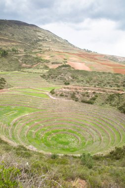 Cusco Peru 'da Moray arkeolojik alanı. İnkalar tarafından yapılan tarım laboratuvarı..