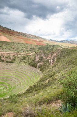 Cusco Peru 'da Moray arkeolojik alanı. İnkalar tarafından yapılan tarım laboratuvarı..