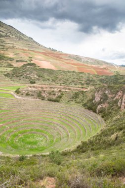 Cusco Peru 'da Moray arkeolojik alanı. İnkalar tarafından yapılan tarım laboratuvarı..
