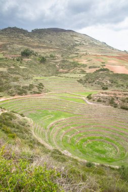 Cusco Peru 'da Moray arkeolojik alanı. İnkalar tarafından yapılan tarım laboratuvarı..