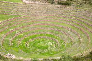 Cusco Peru 'da Moray arkeolojik alanı. İnkalar tarafından yapılan tarım laboratuvarı..
