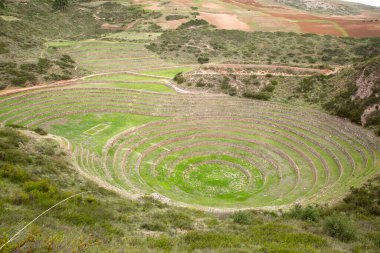 Cusco Peru 'da Moray arkeolojik alanı. İnkalar tarafından yapılan tarım laboratuvarı..
