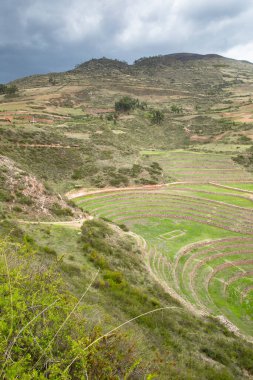Cusco Peru 'da Moray arkeolojik alanı. İnkalar tarafından yapılan tarım laboratuvarı..
