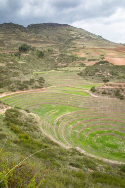 Cusco Peru 'da Moray arkeolojik alanı. İnkalar tarafından yapılan tarım laboratuvarı..