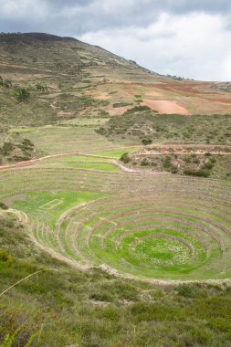 Cusco Peru 'da Moray arkeolojik alanı. İnkalar tarafından yapılan tarım laboratuvarı..